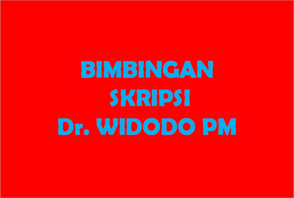 BIMBINGAN SKRIPSI Dr.Widodo Pudji Muljanto.