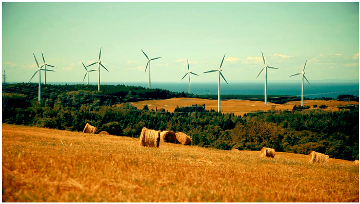 Green Innovation and Technology Management